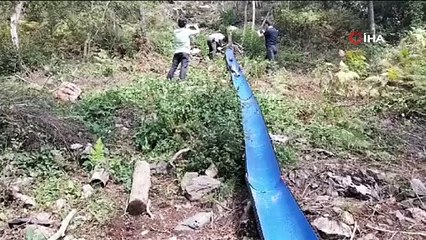 Ormandan bedava topluyorlar çuval çuval satıyorlar. Marketlerde kilosu 30 TL'ye satılıyor