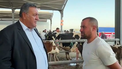 Türkiye’de hayvancılık risk altında: Raftaki fiyatlar üreticiye yansımıyor