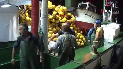 İstanbul Boğazı'nda ‘balık’ denetimi