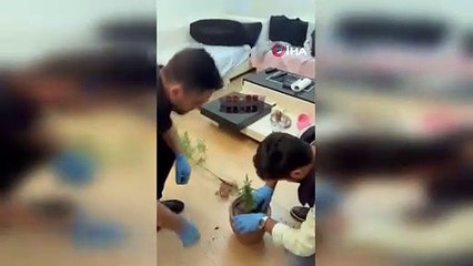 Uyuşturucu operasyonu: 2 kişi yakalandı