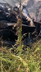 Meksika'da iki özel yolcu uçağı çarpıştı. 5 kişi öldü