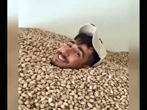 Siirt’te fıstık banyosu rezaleti. Boynuna kadar fıstıkların içine girdi ağzına aldı aldı geri tükürdü