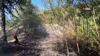 Düzce'de orman yangını söndürüldü. Kundaklamayla çıktığı belirlendi