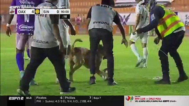 Futbol maçında sahaya giren köpek topu alıp kaçtı. Kimse yakalayamadı