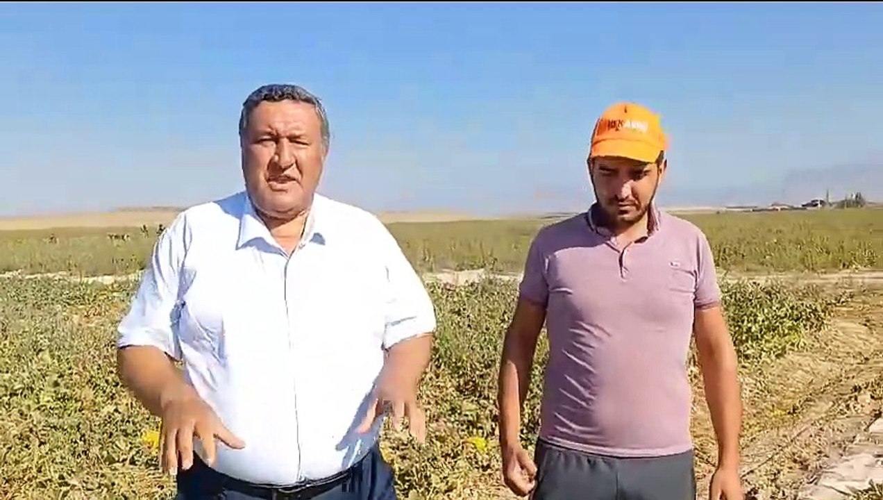 Yabancılara 6 yılda 5.2 milyon metrekare tarım arazisi satıldı. Satışlar meclise taşındı