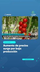 Aumento de precios surge por baja producción