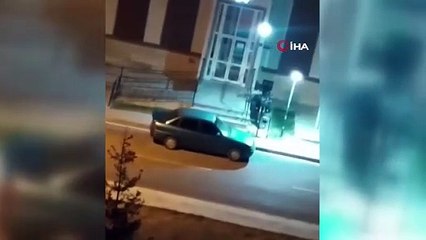 Açlık tilkilerin bile yolunu şaşırttı