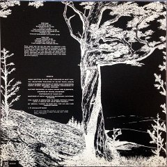 Scott Key – This Forest And The Sea : Blues, Folk, World, & Country,  Acoustic, Folk 1976