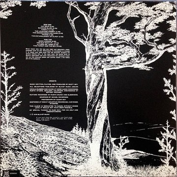 Scott Key – This Forest And The Sea : Blues, Folk, World, & Country, Acoustic, Folk 1976