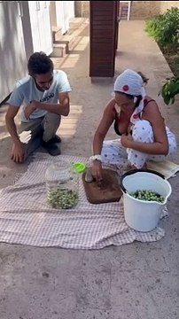 Hülya Avşar bikinisini giyip zeytin kırdı