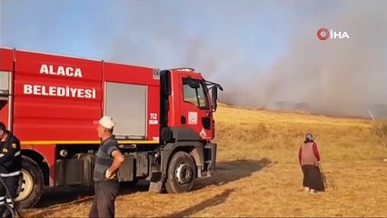 Çorum’da 15 bin dönüm arazi küle döndü