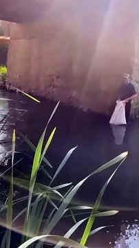 Bir kişi nehre dalıp 22 saniyede eliyle 2 balık tuttu. Nerelisin gardaş Adanalıyık gardaş...