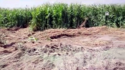 Nevşehir'deki selin ardından hasar tespit çalışmaları başladı