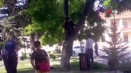 Maaşını alamayan vatandaş valilik önünde ağaca çıktı
