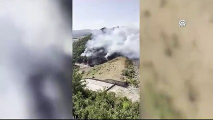 Çanakkale'de orman yangını