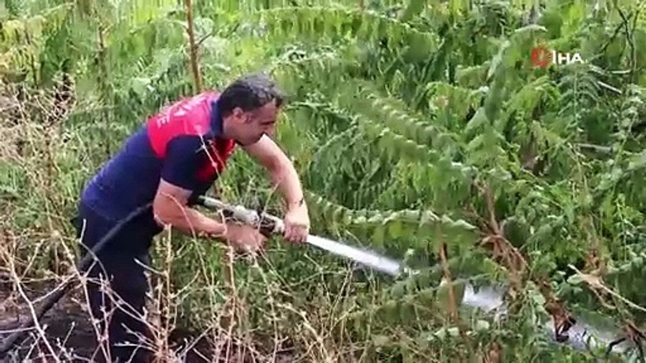 Taşova’da örtü yangını ormana sıçramadan söndürüldü