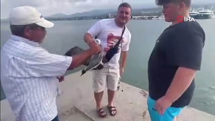 Balıkçıların oltasına bu kez balık değil martı takıldı