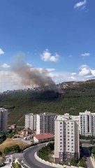 Maltepe'de ormanlık alanda yangın