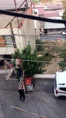 Kaçaklar güpegündüz Türklerin internetini çaldılar