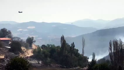 Çanakkale'de rüzgarın etkisiyle yangın tekrar başladı