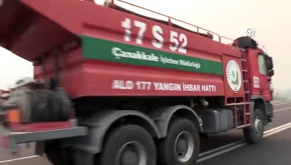 Çanakkale yangınında skandal ortaya çıktı: Atatürk için dikilen ağaçları kesmişler