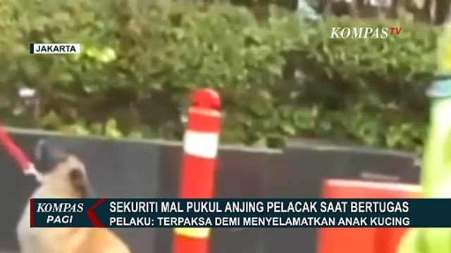 Lakukan Klarifikasi, Satpam Mal Viral Pukul Anjing Menangis Sampaikan Permintaan Maaf