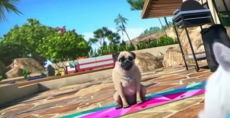 Mighty Mike Mighty Mike E008 Feline A Little Racoon