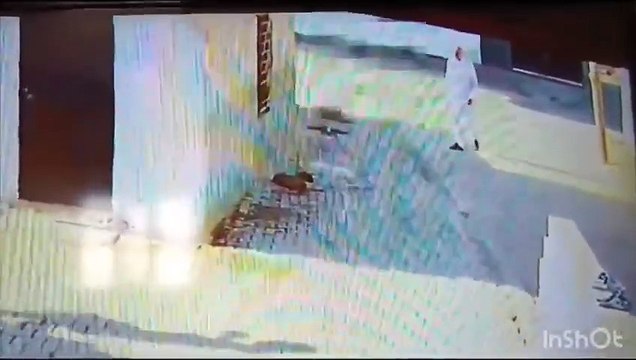 Demir çubukla köpeği öldüresiye döven cani serbest bırakıldı