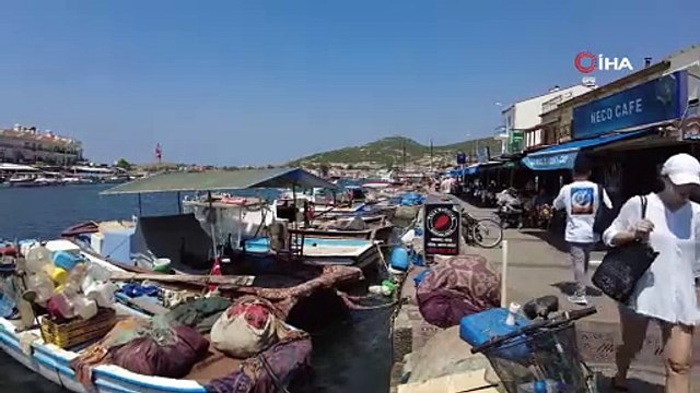 Kimse ayağını denize bile sokamadı. İzmir Foça'da büyük korku. Plajlar bile boş kaldı