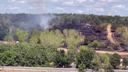 Çorlu'da ormanlık alanda çıkan yangın söndürüldü