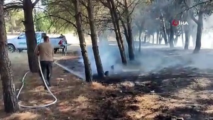 Mangal sevdası ormanı yakıyordu