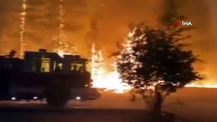 Washington'da acil durum. Binlerce dönüm küle döndü