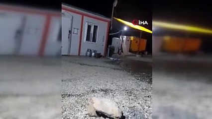 Kedi ile ayının ekmek kavgası kameraya yansıdı