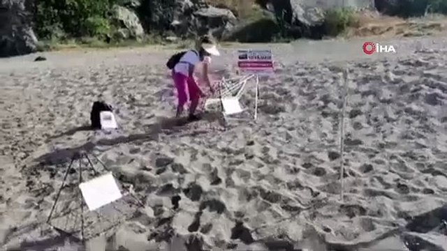Caretta caretta yuvası üzerindeki koruma kafesini kaldırıp ateş yaktılar