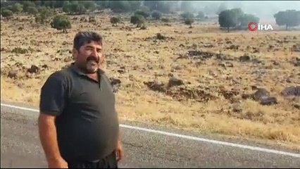 Gaziantep’te düşen yıldırım ormanlık alanı yaktı