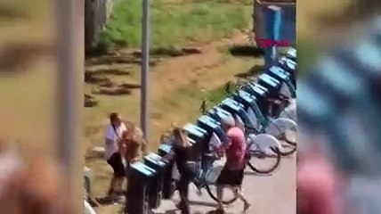 Tasmasız köpek Kadıköy sahilde dehşet saçtı