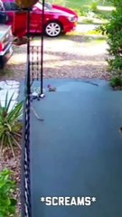 Best Fails of the week Funniest Fails Compilatio  Funny video