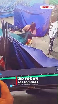 ¡Se roban los tomates! En un mercado de Quillacollo se registraron dos robos de tomate en un contexto en el que el precio del producto subió en todo el país.