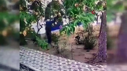 Önce yemek yedi sonra paraları çaldı