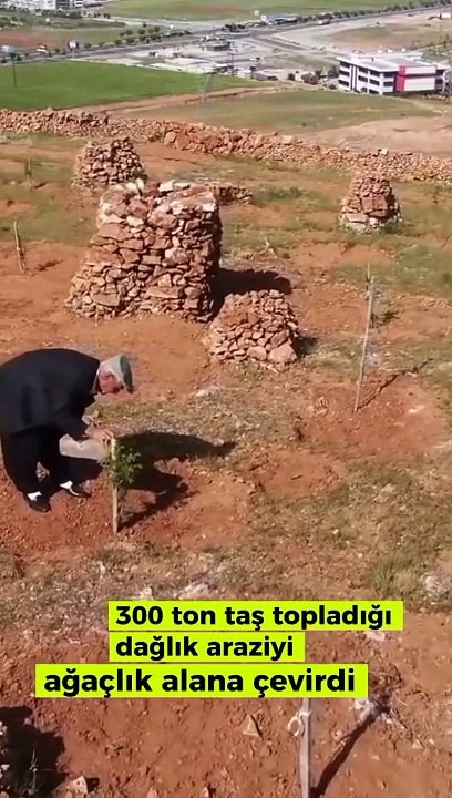 Sen ne güzel insansın İsmail amca. Her yeri betona çevirenlere örnek olsun