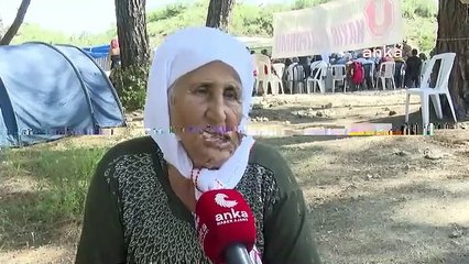 Akbelen’de ağaca sarılan Zehra nine: Üç tane adamın buraları talan etmeye hakları yok