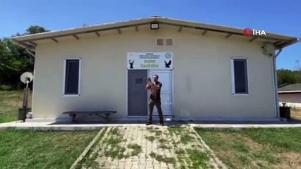 Yaralı şahin tedavi edilerek doğaya salındı