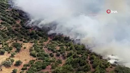 Sıcaklık rekoru kıran İzmir'de iki ilçede orman yangını