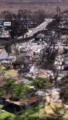 Hawaii'de devam eden orman yangınlarında ölenlerin sayısı 93'e çıktı