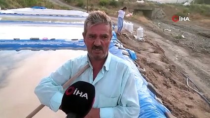 Dağdan akıyor aileler 90 günde 150 bin TL kazanıyor. Dedelerinden miras kaldı