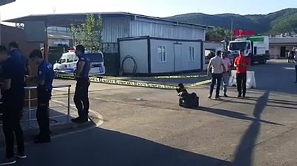 İşyerinde kavga eden iki personel aynı silahla birbirlerini vurdu: 2 ölü