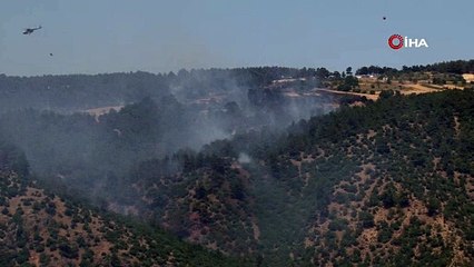 Çanakkale’de 3 gündür süren orman yangını kontrol altına alındı