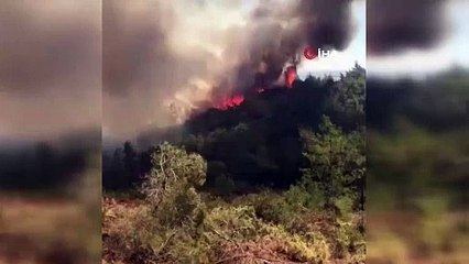 Adana'da da orman yangını çıktı