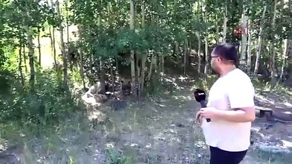 İHA muhabiri ayı saldırısından son anda kurtuldu