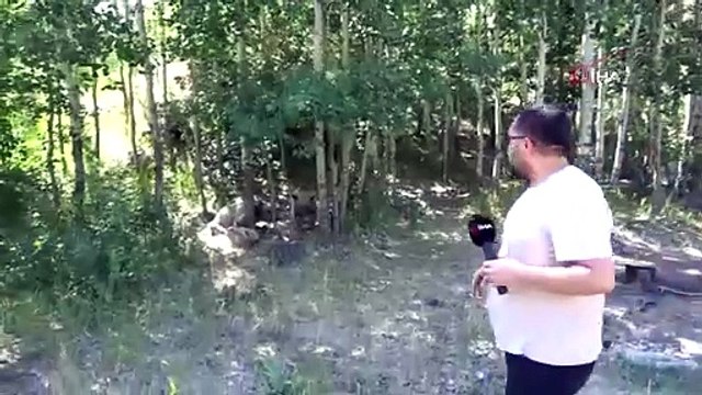 İHA muhabiri ayı saldırısından son anda kurtuldu